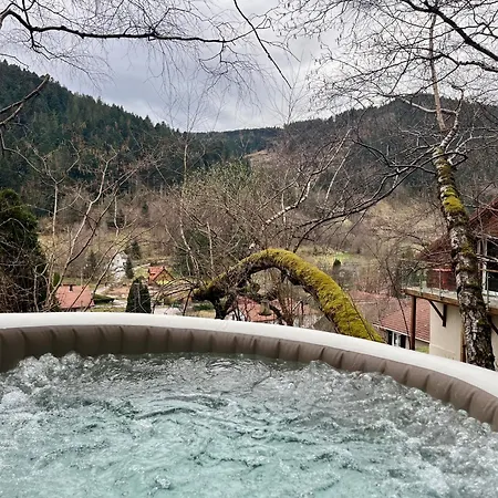 Des Roches - * Plainfaing