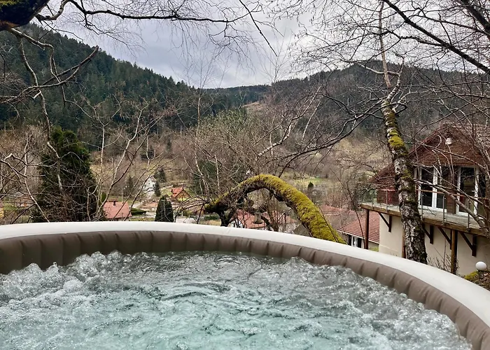 Des Roches - * Plainfaing